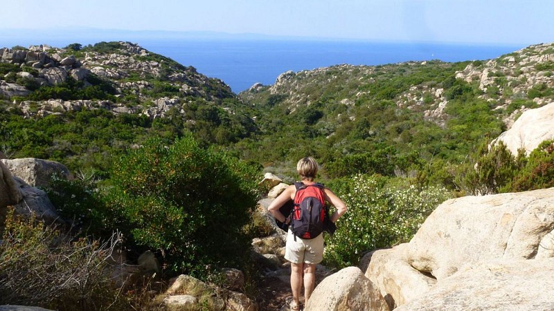 En descendant vers la côte