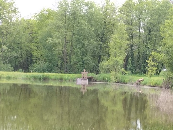 Etang du Petit Arcachon