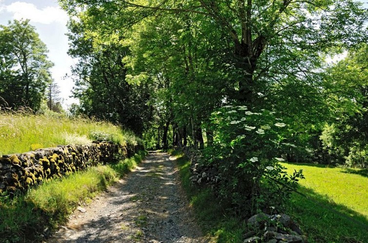 Les chemins à l'ombre