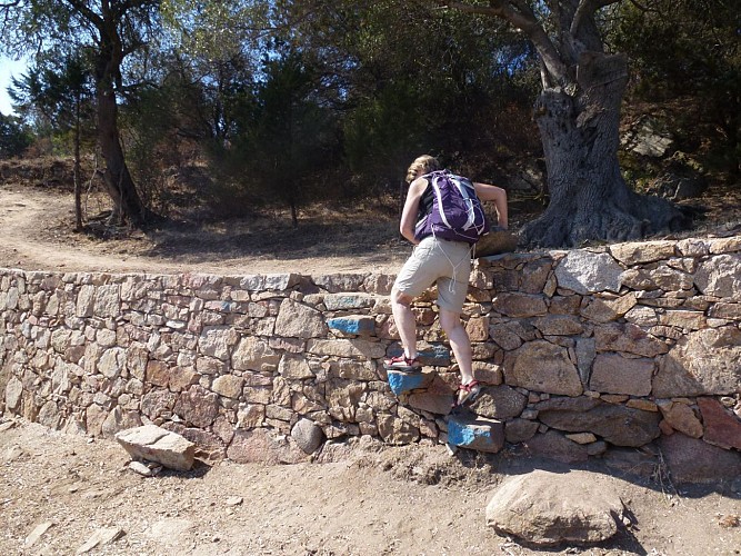 Début de la randonnée