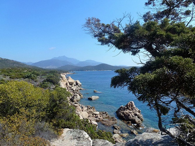 De la Tour d'Olméto à la plage de Roccapina