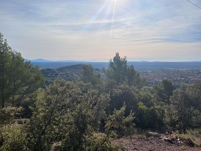 Autour de la Thomassine, côté Est