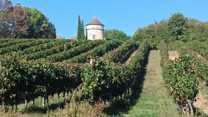 Saint Sauveur de Bergerac (2)