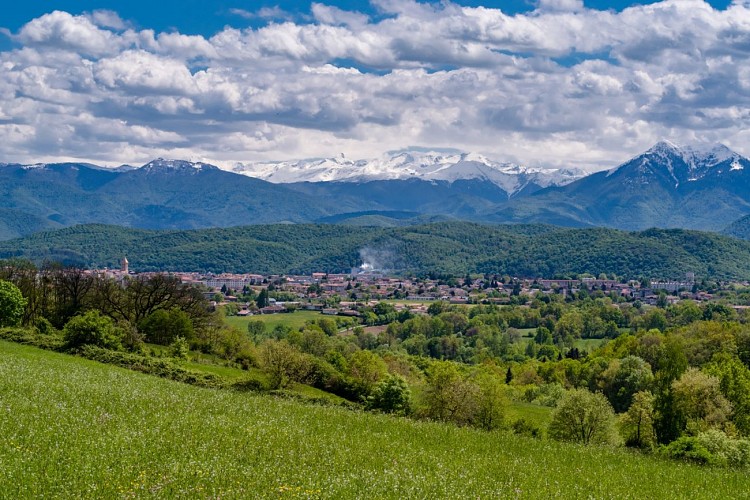 Saint-Gaudens et les Pyrénées