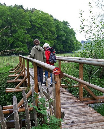 Pont prom Hôfke (6)
