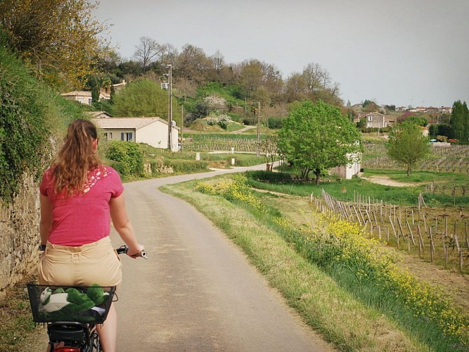 Vélo électrique Bourg 800x600