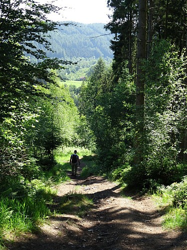 La Roche-en-Ardenne - "Promenade Borzée"