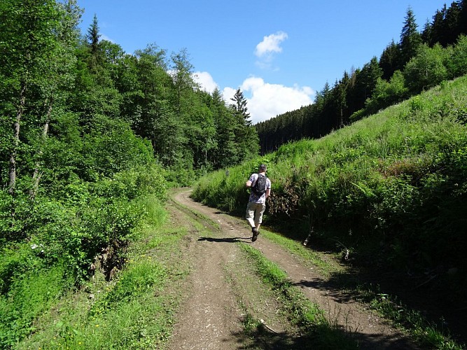 La Roche-en-Ardenne - "Promenade Borzée"