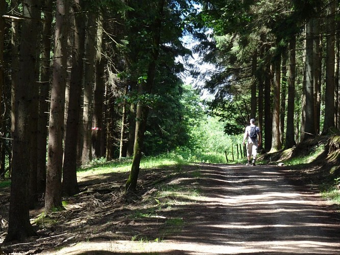 La Roche-en-Ardenne - "Promenade Borzée"