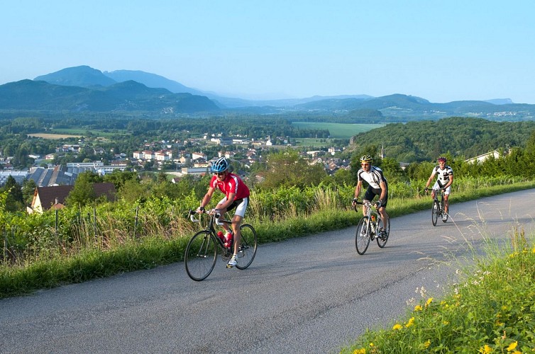 Road cycling route : Tour du lac du Bourget