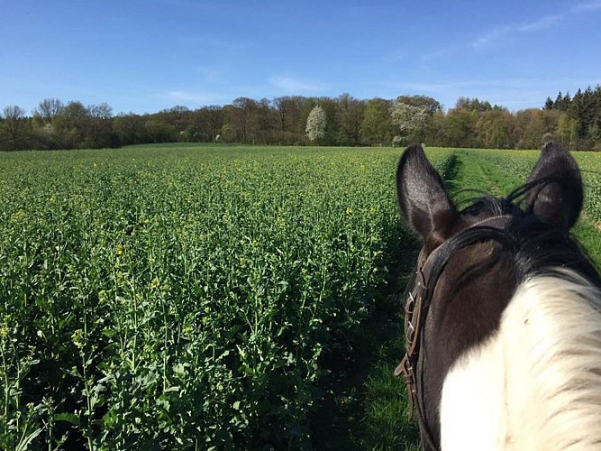 30715804_10215914482957598_5271157810623531780_n