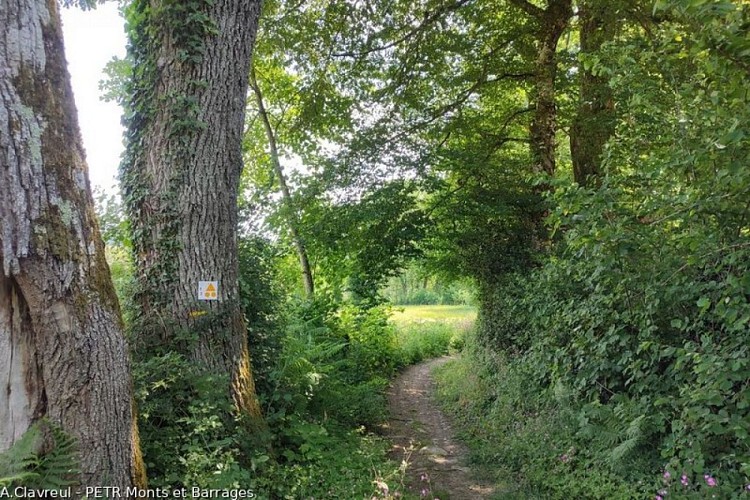 Circuit VTT n°1 De Saint-Paul à la Geneytouse