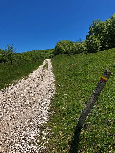 Hiking in Bugey: La Ronde des Plans