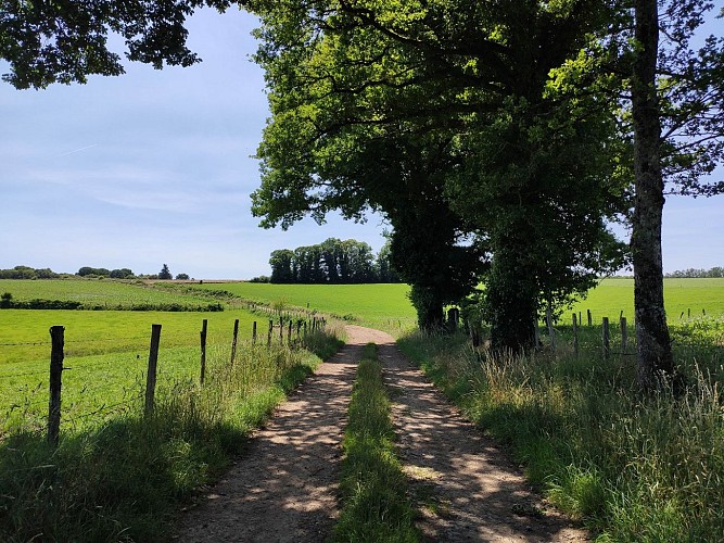Sur le chemin du Puy la Brousse (4)