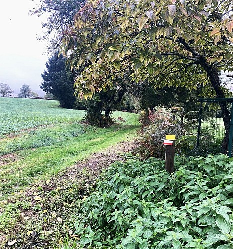 LA COQUILLE-Boucle de Grateloup-Chemin-Poteau