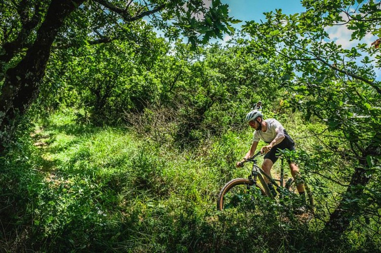 VTT N°16 - Montagnes russes grandeur nature