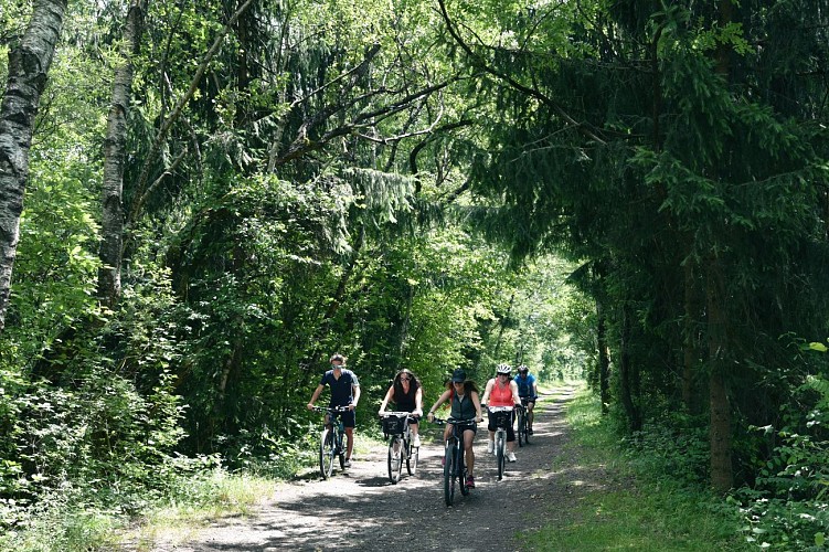 sentier VTT : boucle des Ilettes
