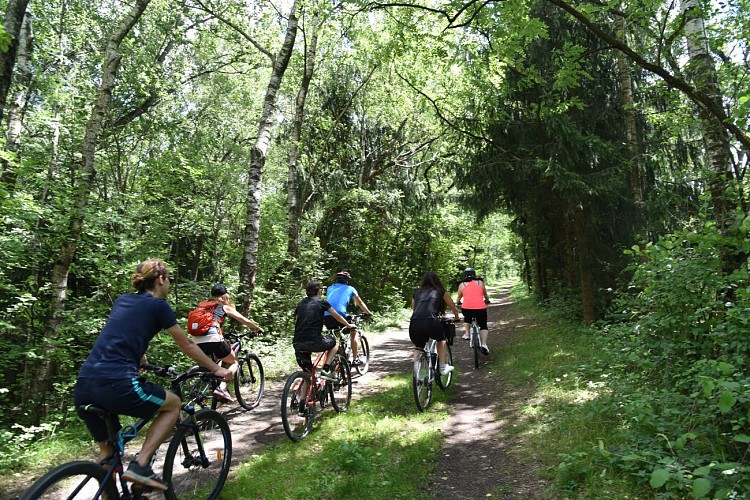 sentier VTT : boucle des Ilettes
