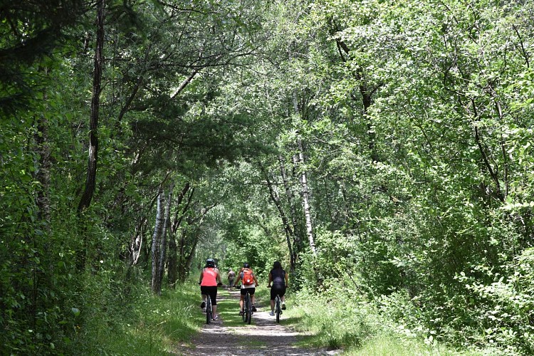 sentier VTT : boucle des Ilettes