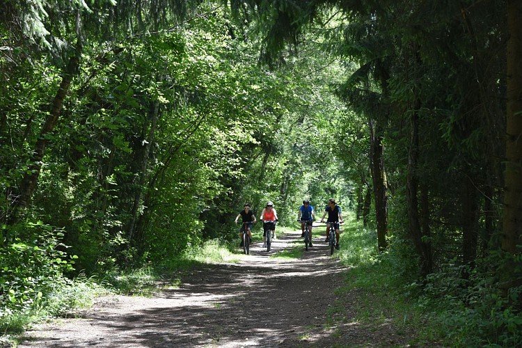 sentier VTT : boucle des Ilettes