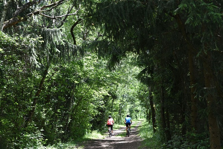 sentier VTT : boucle des Ilettes