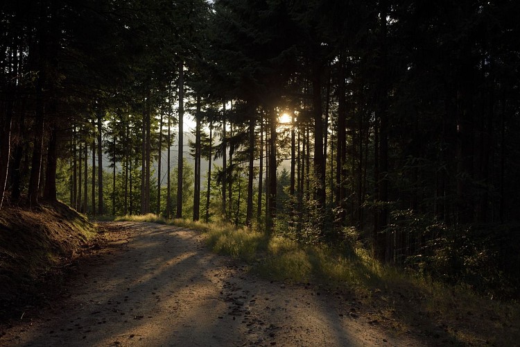 Randonnée de la Roche des Vents