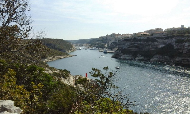 Bonifacio 