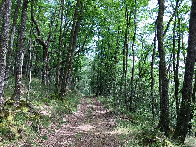 Circuit chapelle Grigeas