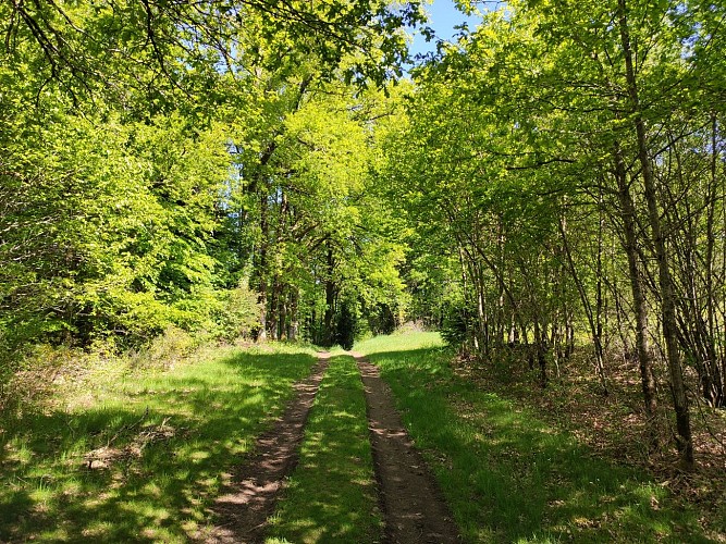 Photo d'appel 2 - Chemin du Puy Vieux - Pays Monts et Barrages - Aurélien Clavreul (12)