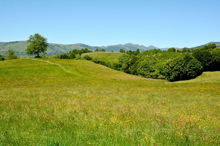 Vue sur les Monts du Cantal