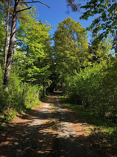 Chemin des étoiles à l'Observatoire de la Lèbe