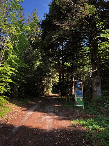 Chemin des étoiles à l'Observatoire de la Lèbe