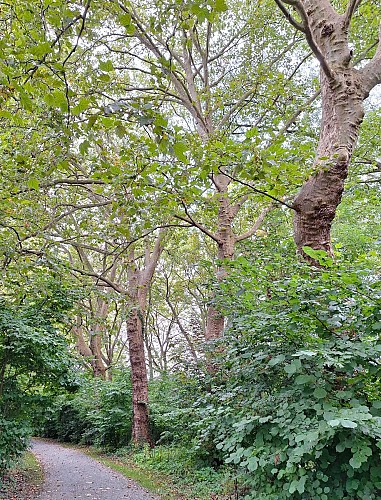 Vrijbroekpark à Malines - Val et Oli