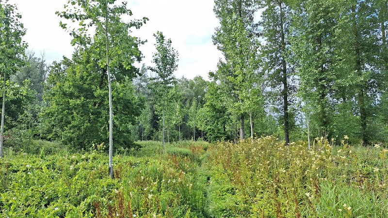 Hofstade - Mini-balade - Val et Oli