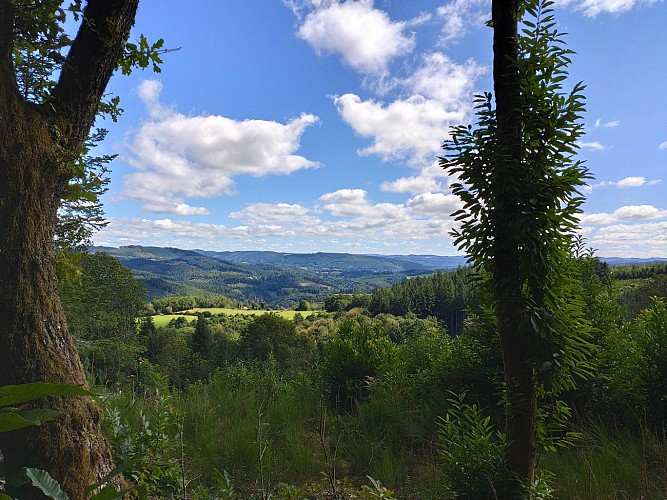 Photo d'appel 1 - Aurélien CLAVREUL