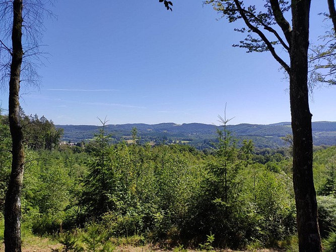 Rempnat - Circuit du Puy Pointu 