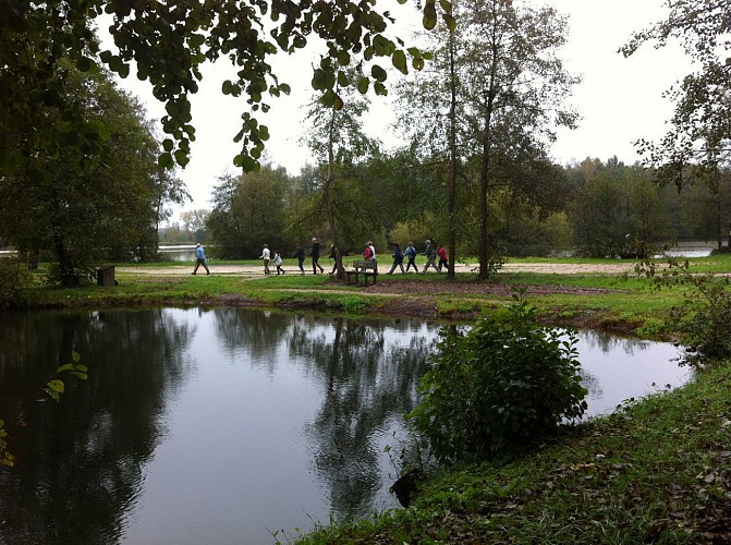 Circuit pédestre "Le Sentier de l'Onde" - Lure - Vosges du sud