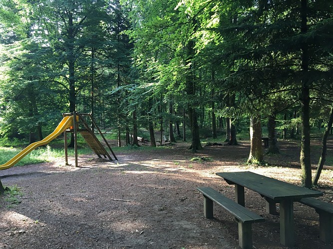 Aire de jeux de la forêt du Haut Juré