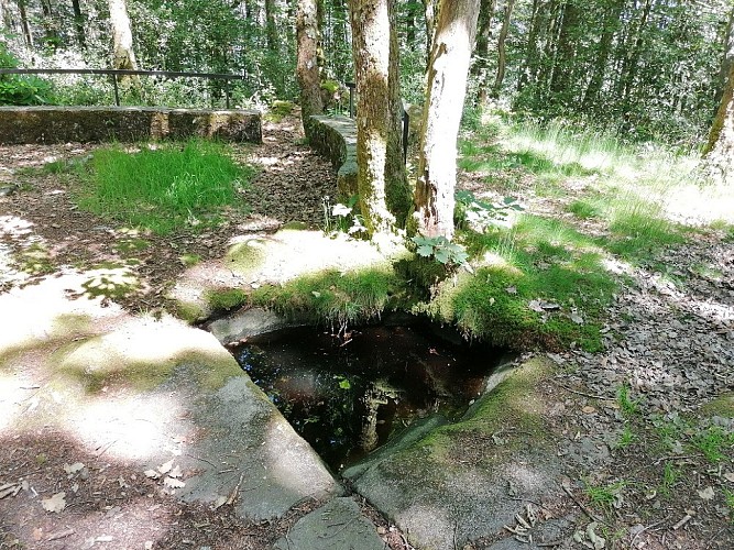 fontaine Ste Geneviève