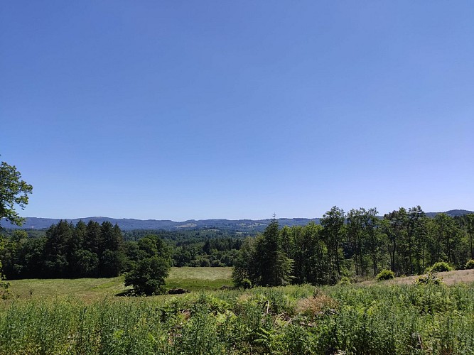 Photo vitrine - Vue sur la vallée de la Maulde depuis le Puy du Genêt