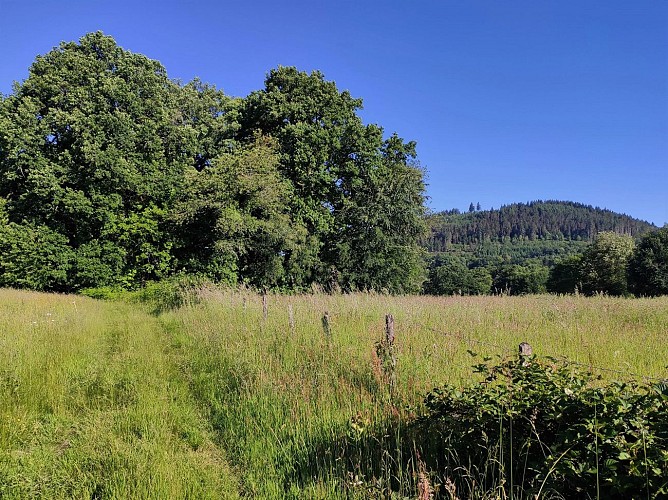 Vue sur le Mont Larron