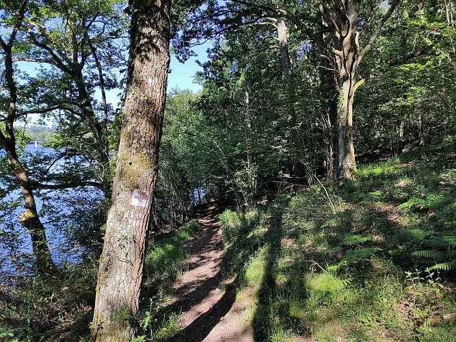 Bord de la Maulde et Pont du Martineix