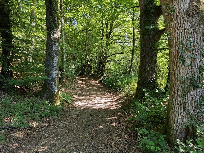 Sur le chemin - le Passadoux