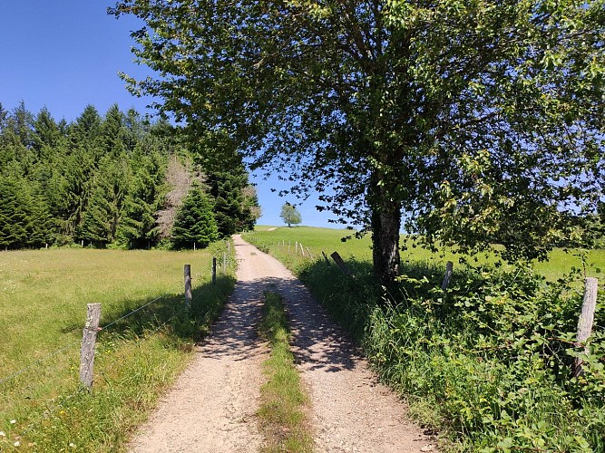 Photo vitrine 1 -Sur le chemin du Léry - Aurélien Clavreul