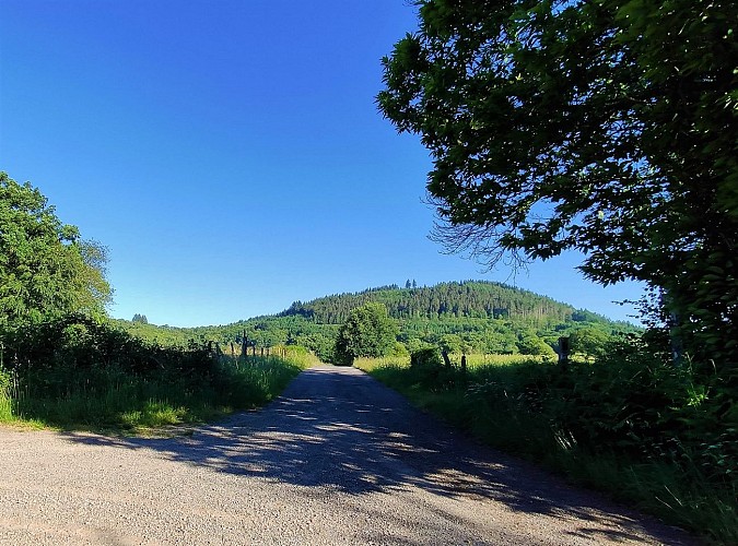 POI 3 - Vue sur le Mont Larron depuis la croix de Lachaud 