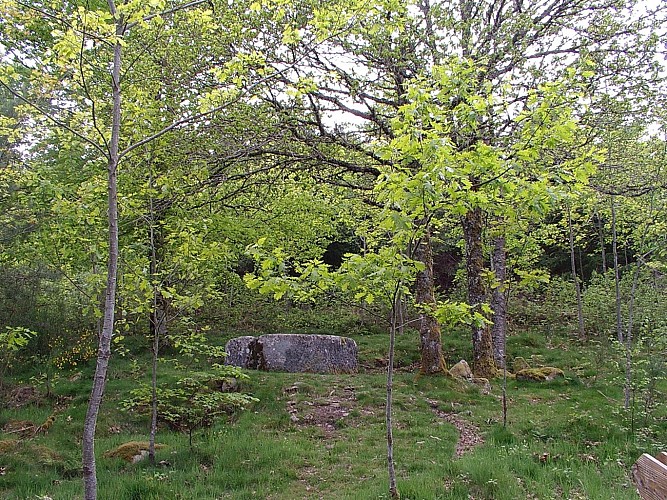 Peyrat Bac à la cube