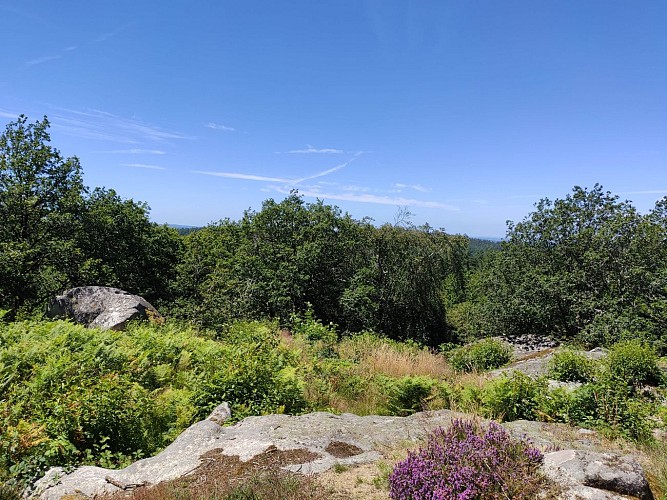 Beaumont-du-Lac - Autour du Bois de Crozat - Pays Monts et Barrages - Aurélien Clavreul  (9)