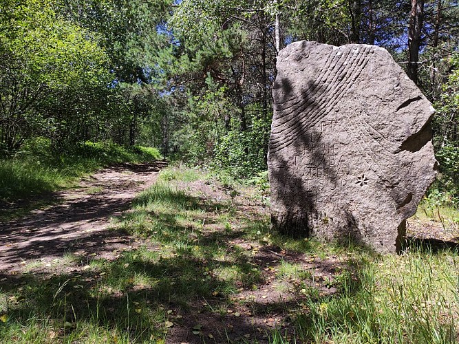 Beaumont-du-Lac - Autour du Bois de Crozat - Pays Monts et Barrages - Aurélien Clavreul  (87)