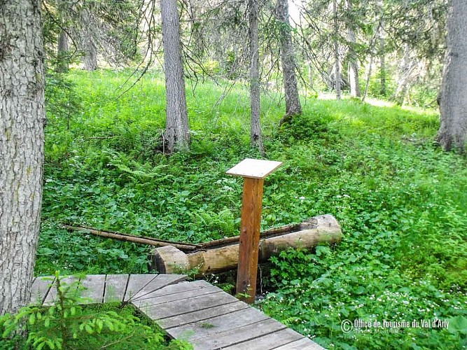 Sentier boisé