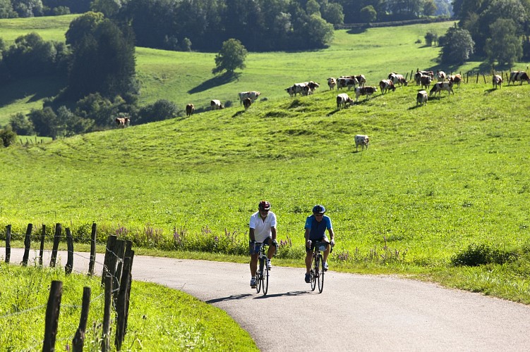 Tour de la Valserine